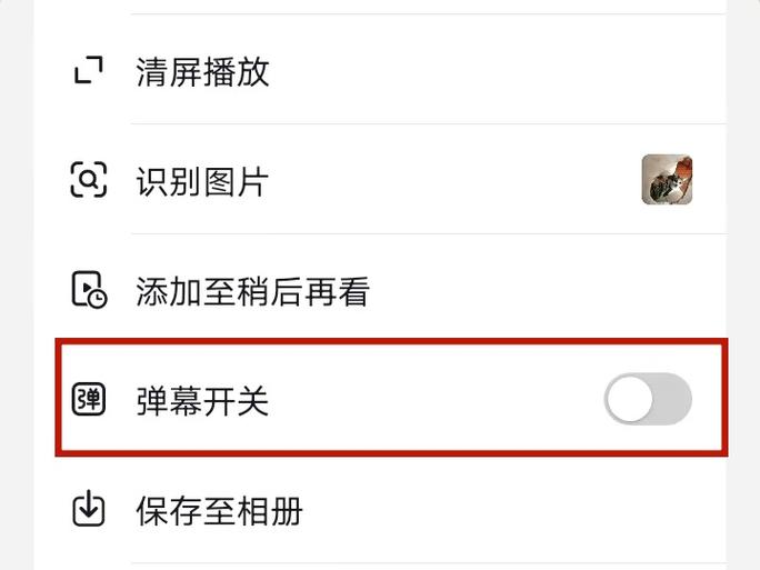 为什么我抖音弹幕功能不见了