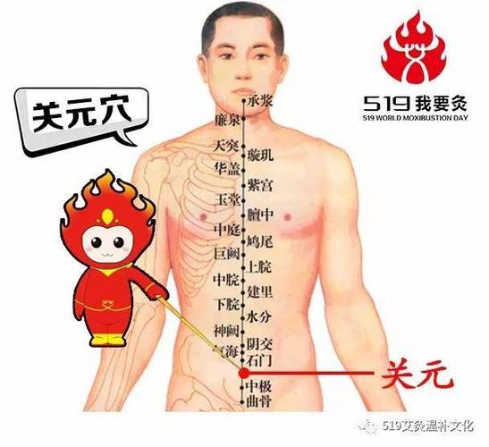 天罡在人体哪里