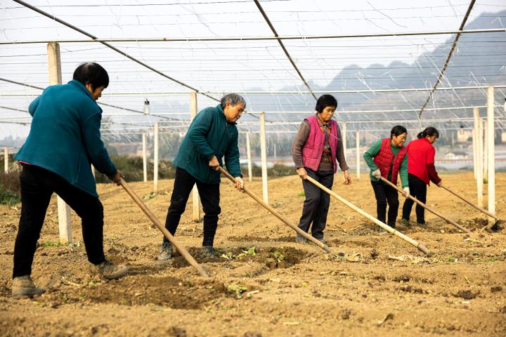怎么让村民帮你种地