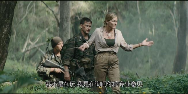 真实战场电影高清完整版截图3