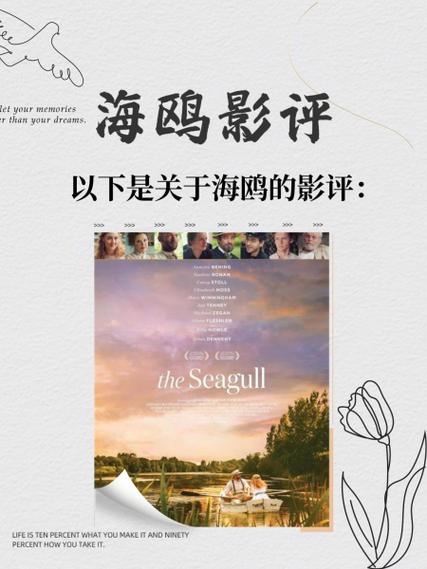 海鸥影评官方正版下载