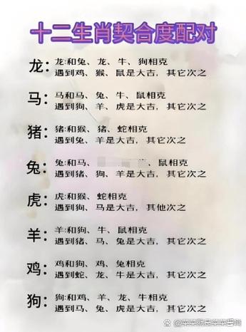 龙兔相克佩戴什么化解