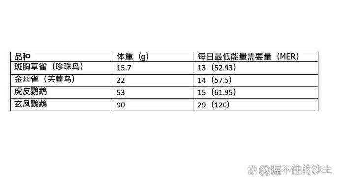 每日需要的能量计算