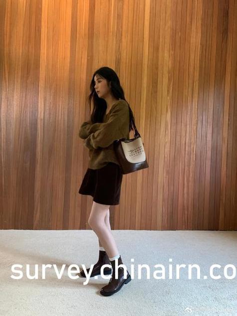 请将我驯服维修人员的培训