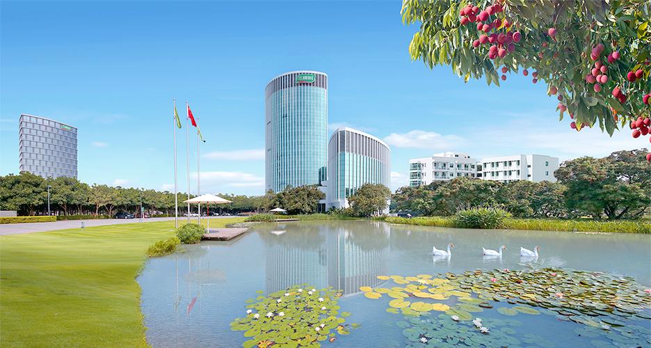 三棵树公司