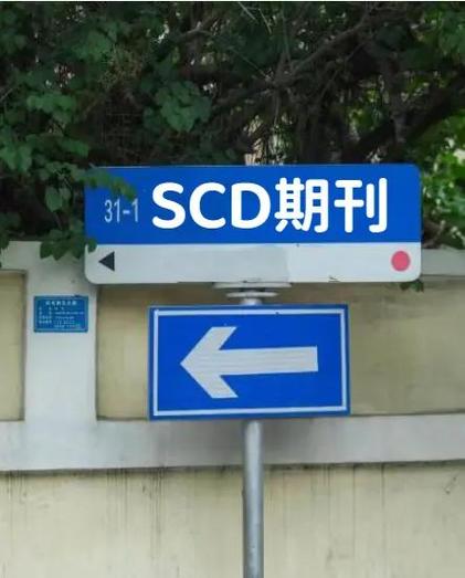 发scd期刊厉害吗