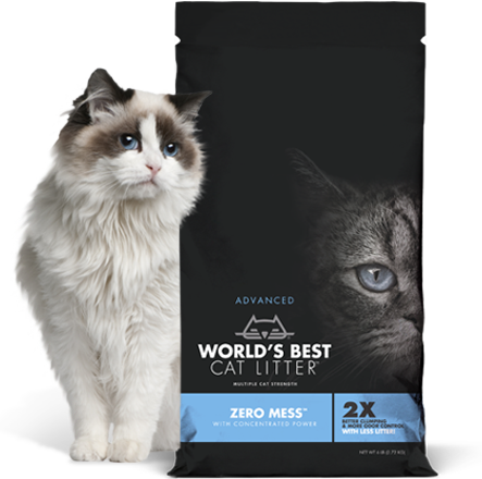 kitty litter