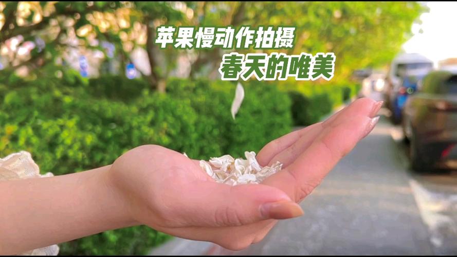 苹果怎么拍慢动作和快动作