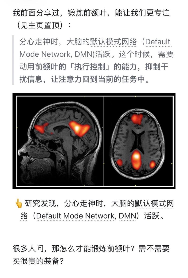 最强大脑二维码截图2
