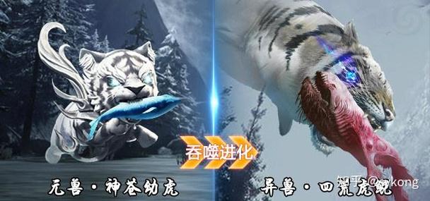 道境鲲广告