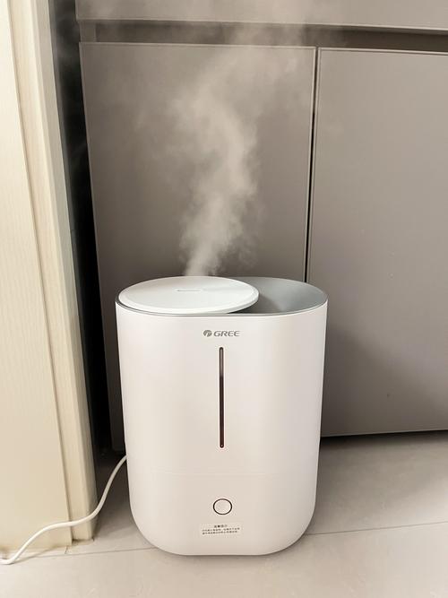 加湿器需要买净化版吗