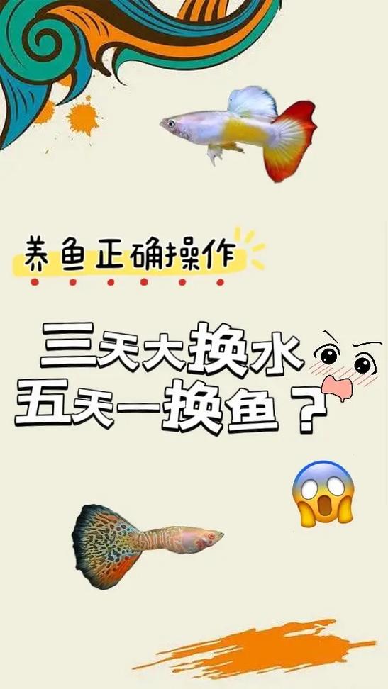 正确给鱼换水方法