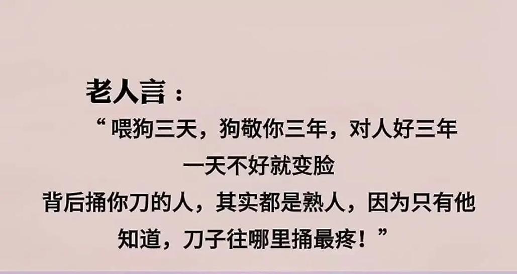 讽刺人像狗的图片