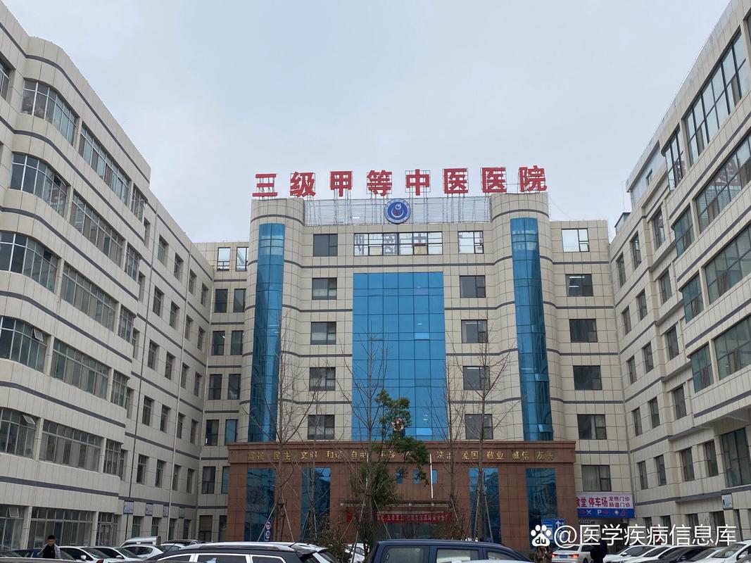 三级甲等是什么