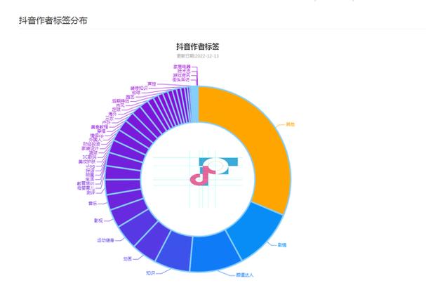 抖音分析