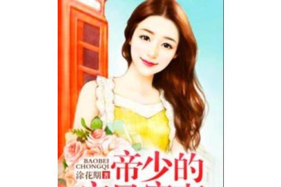 帝少的宝贝宠妻完整版