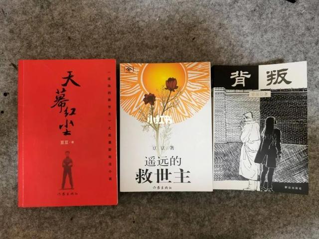 豆豆的文学作品有哪些