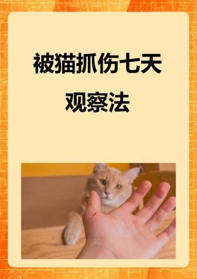 猫抓痕多久消失