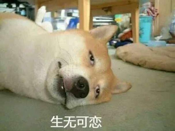 生无可恋表情包 绝望