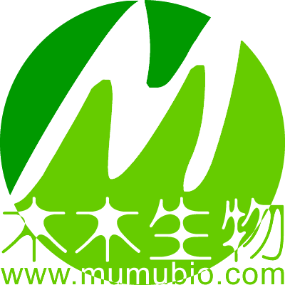 木木科技
