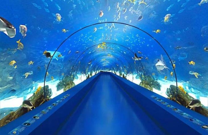 海底世界一日游