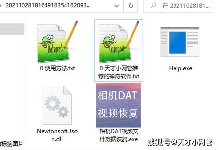 手机录制的视频损坏能修复吗