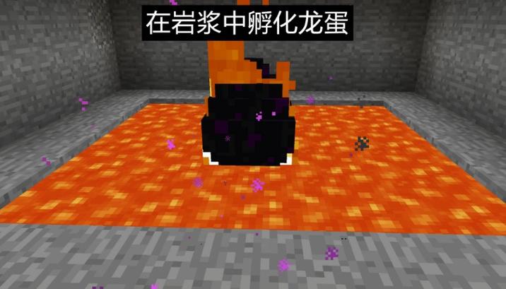 我的世界手机版龙蛋怎么孵化教程