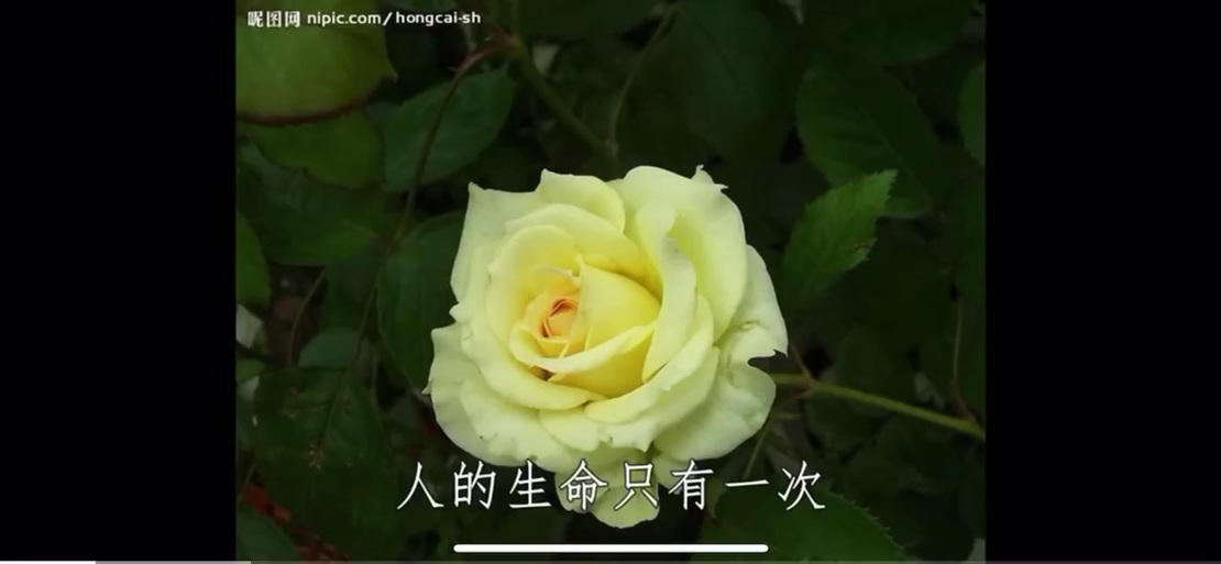 我们一同来到神的殿