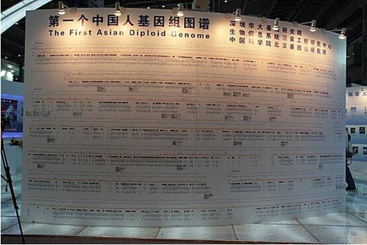 中国人类基因组计划