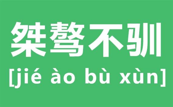 桀骜不驯的名字