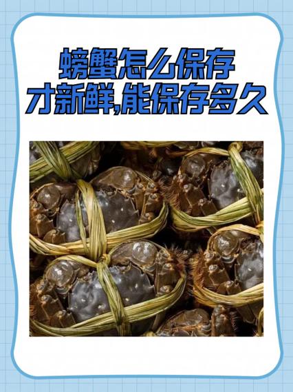 螃蟹如何保存3个月