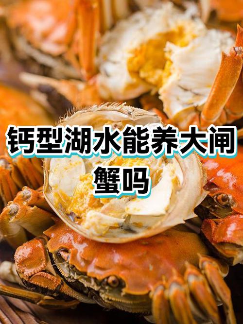 螃蟹能净化水质吗