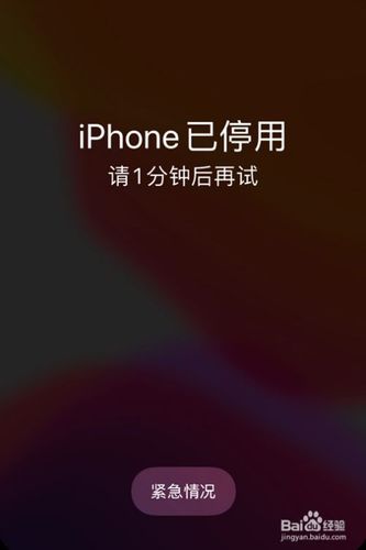 苹果手机一直停用怎么办?截图1