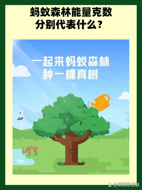 蚂蚁森林为什么可以产生10公斤