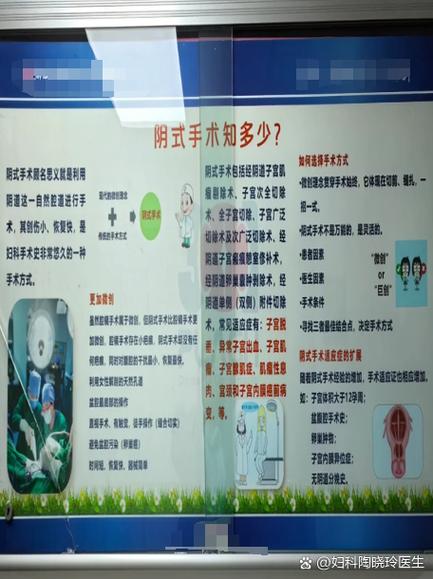 阴式手术是什么意思