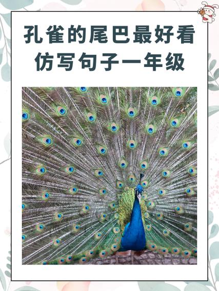 可爱的小象阅读答案