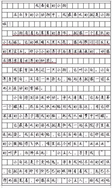 10000字作文截图3