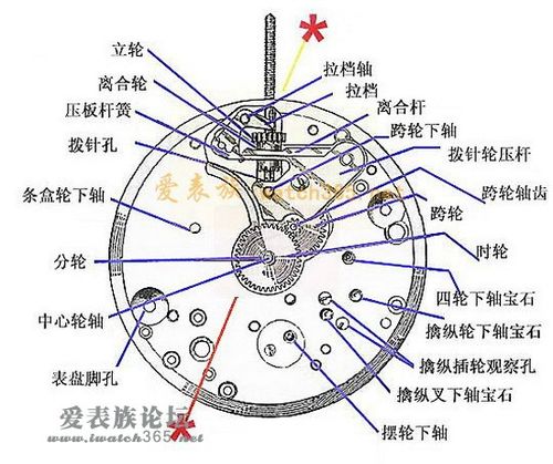 手表调针怎么取出图解