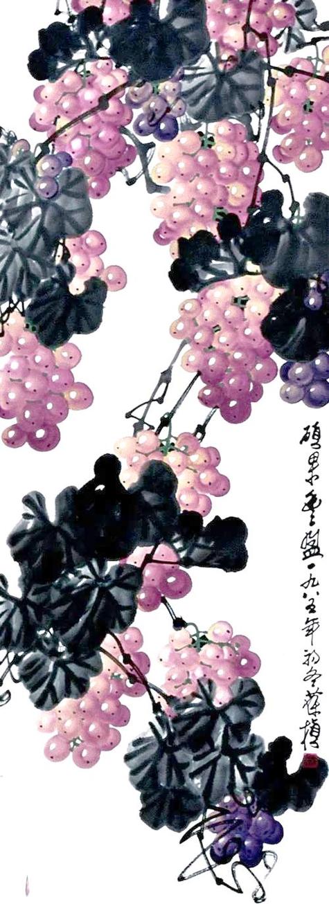 葡萄画作品欣赏