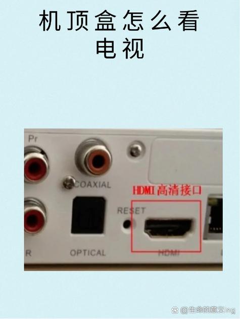 电视怎么用网线看电视