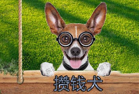 微信养宠物赚钱