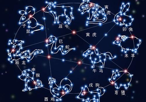 星座48星区