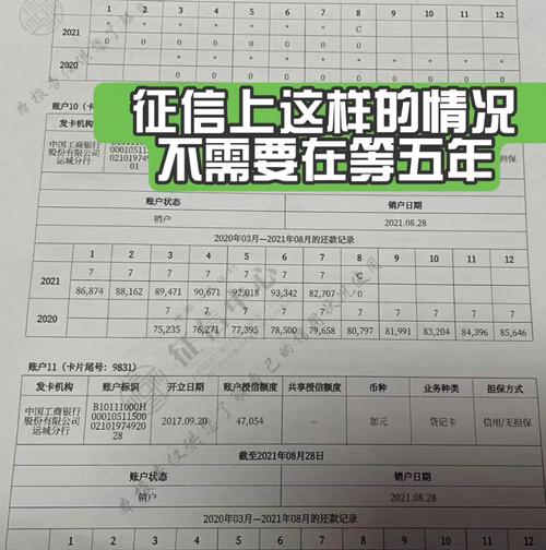 无视当前逾期无视征信的借款口子