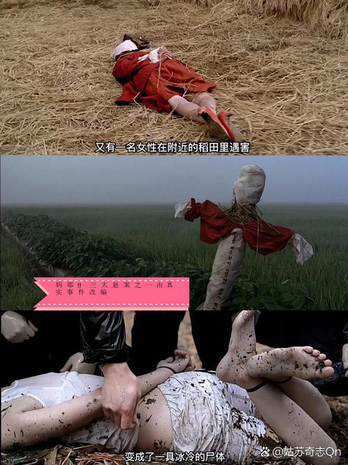 软杀无删减版