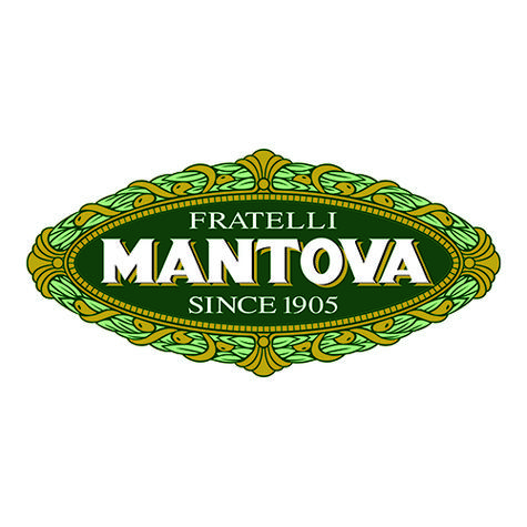 mantova