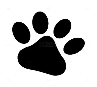 黑色猫爪