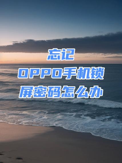 oppo手机分身忘记密码怎么办