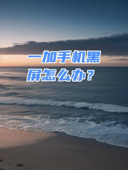 一加5黑屏怎么办