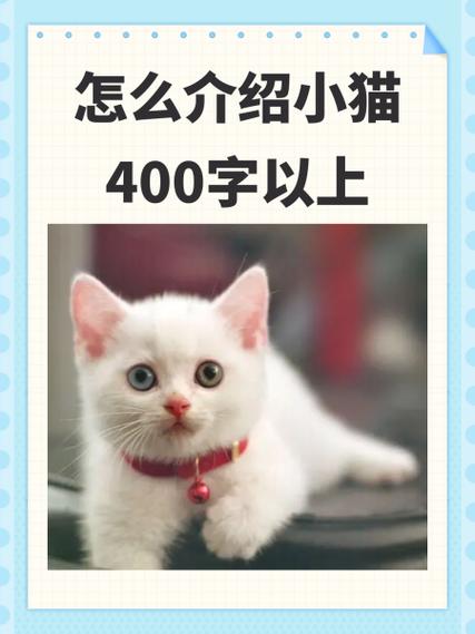 一只可爱的小猫作文300字截图3