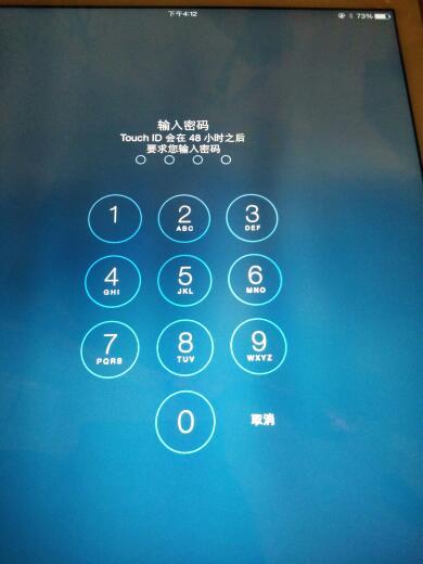 ipad输入旧密码